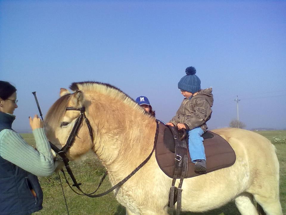 547704_504364359580154_1730235672_n